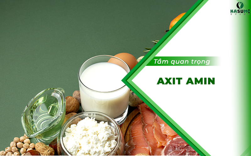 Axit amin là gì? Vai trò của Axit amin đối với cơ thể con người! Axit amin là gì? Vai trò của Axit amin đối với cơ thể con người!