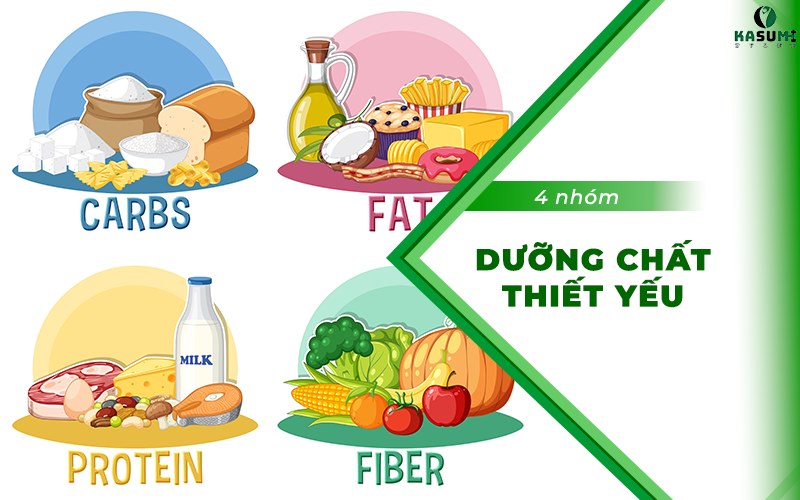 4 nhóm dưỡng chất thiết yếu không thể cắt bỏ cho cơ thể khỏe mạnh 4 nhóm dưỡng chất thiết yếu không thể cắt bỏ cho cơ thể khỏe mạnh