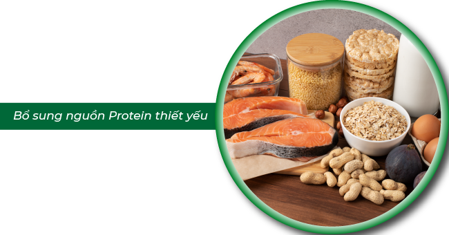 bo-sung-nguon-protein