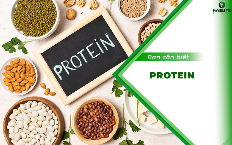 Protein là gì? Vai trò của Protein đối với sức khỏe con người Protein là gì? Vai trò của Protein đối với sức khỏe con người