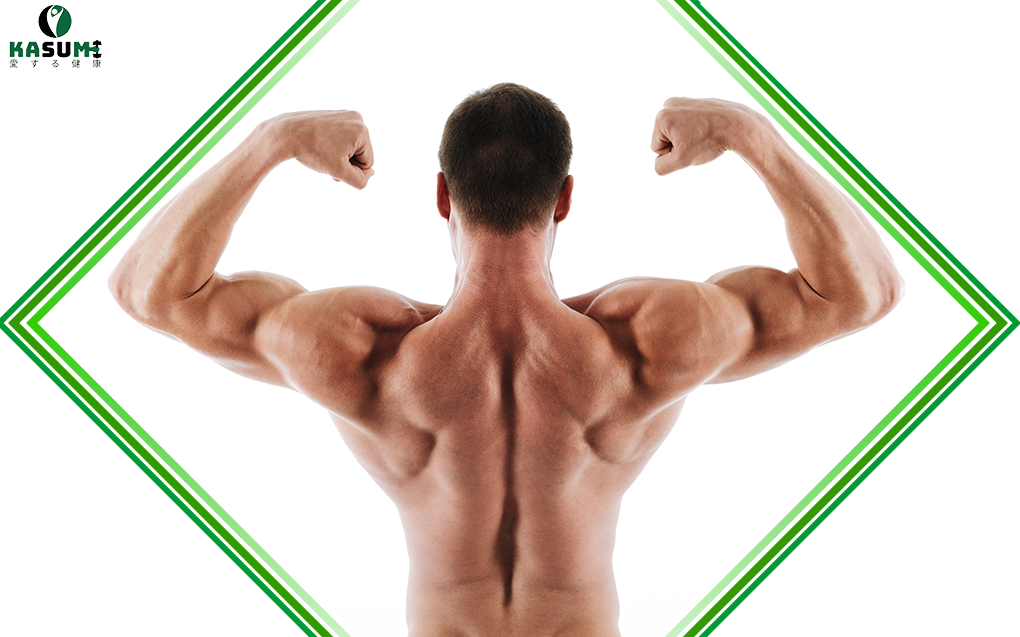 protein-giup-duy-tri-co-bap