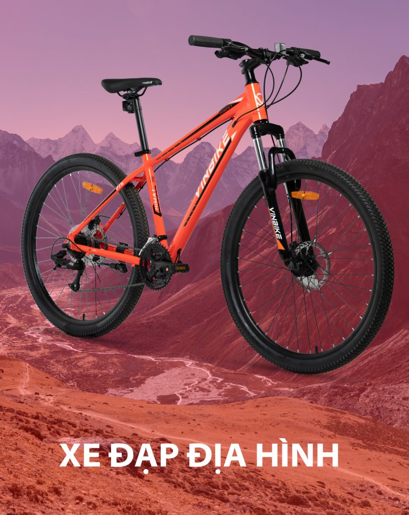 VINBIKE
