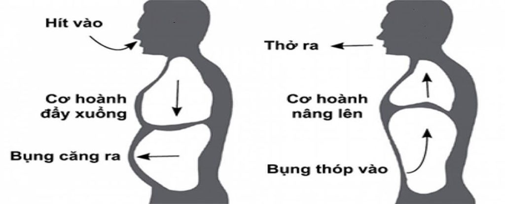 Thở bằng cơ hoành