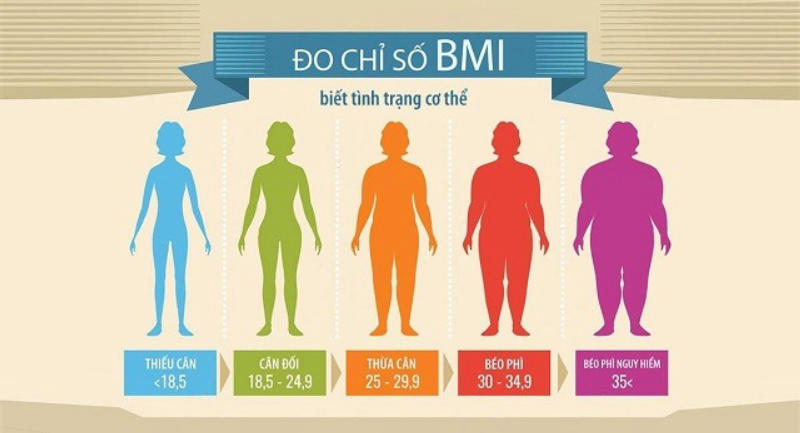 Chỉ số khối cơ thể (BMI)